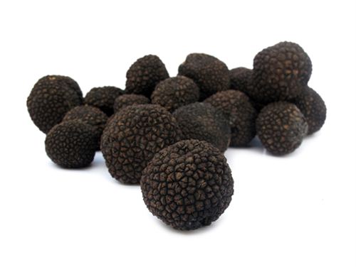 黑松露Truffle