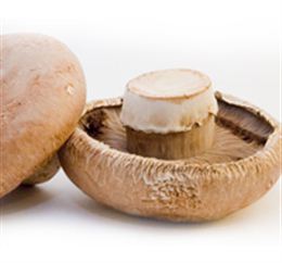 波多黎各菌Portobello