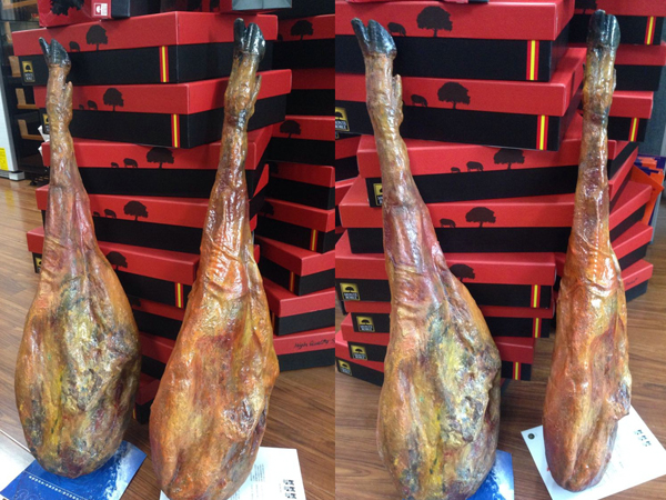 西班牙火腿模型