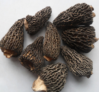 干羊肚菌Dry Morel